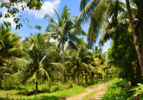 海南热带雨林国家公园片区景区对六类对象免票