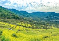 油菜花田里的流量密码：地方文旅如何借势榜单经济破局？