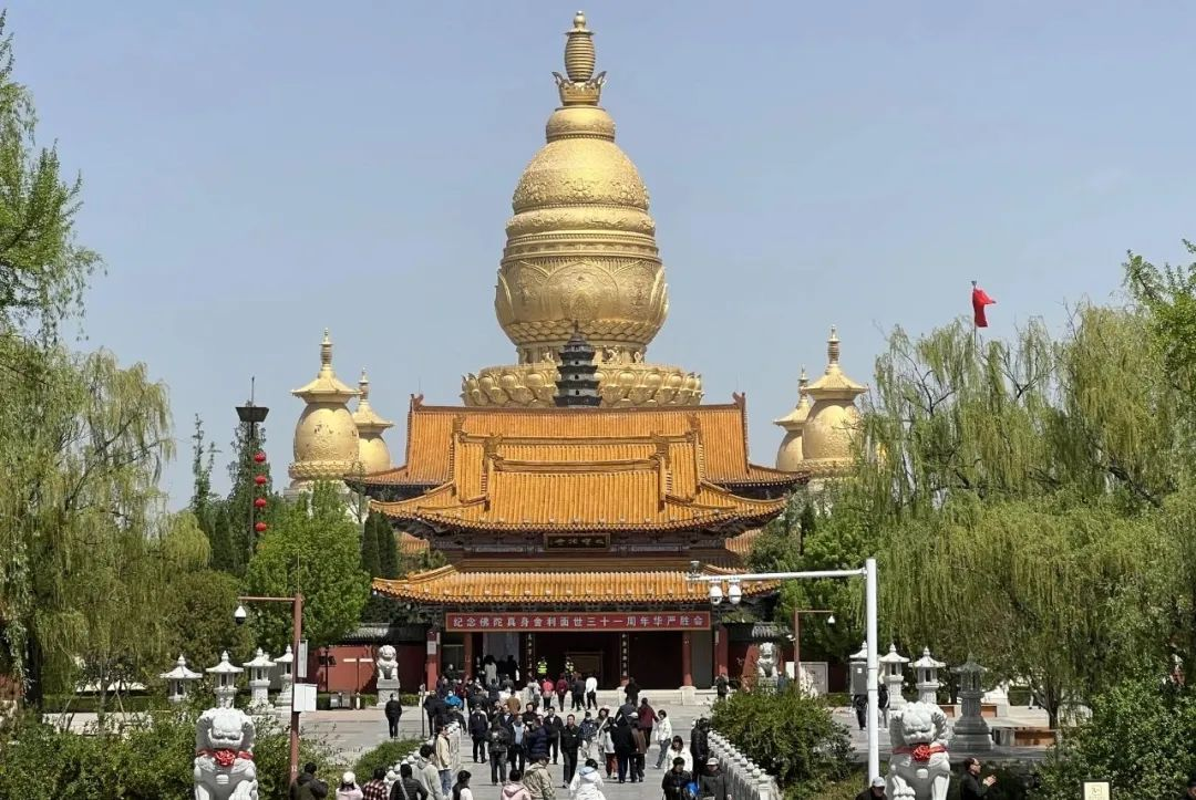 孔子文旅集团五一撒欢指南！解锁春日快乐 N 连击