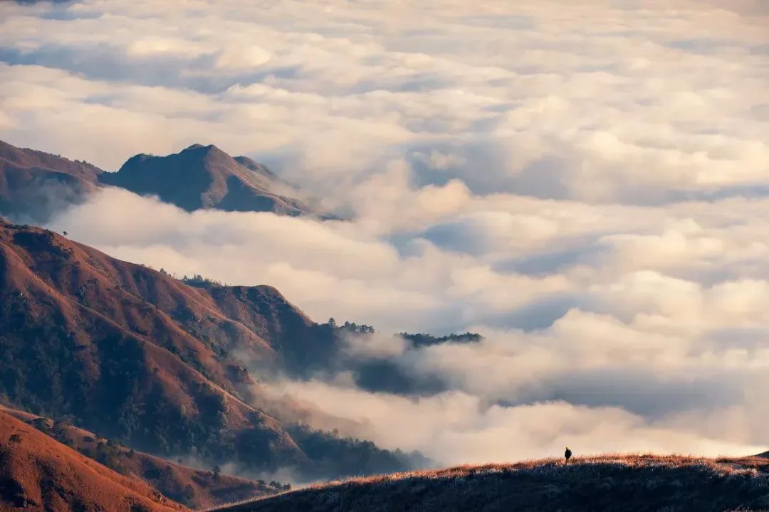 一定要在雨后去趟武功山！云海奇观持续上演中~