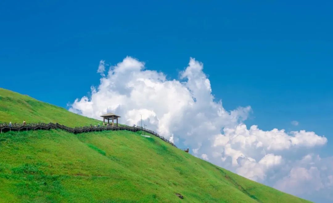 惊！武功山的春天居然这么美