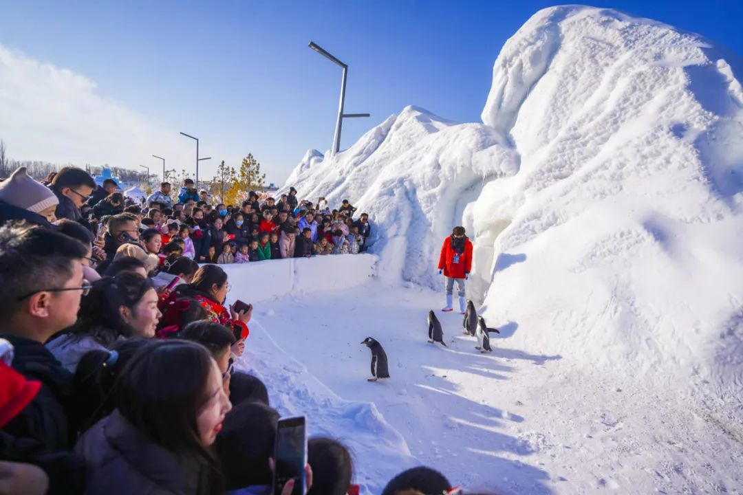 春节假期冰雪热持续，冰爽榆林激发新动能