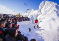 春节假期冰雪热持续，冰爽榆林激发新动能