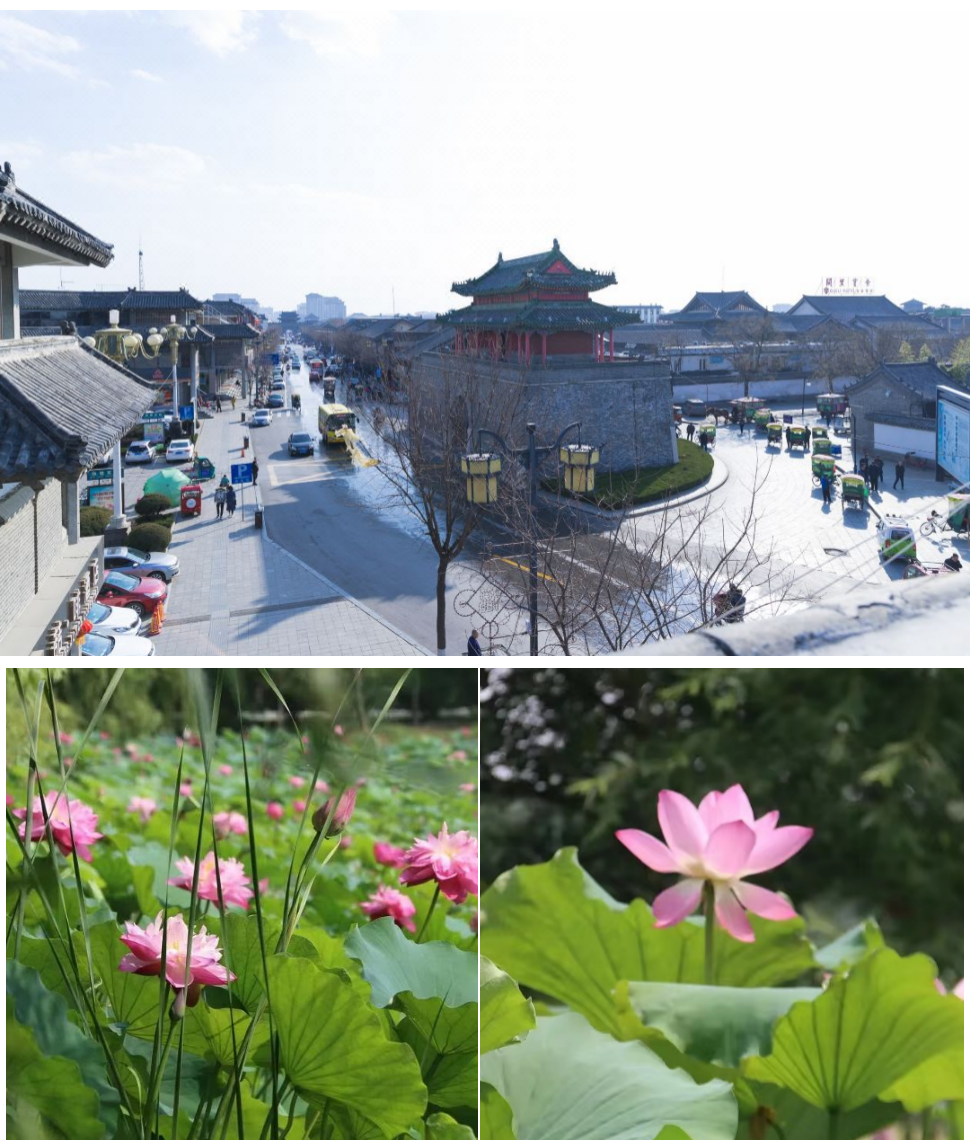 截屏2023-06-30 14.10.02.png