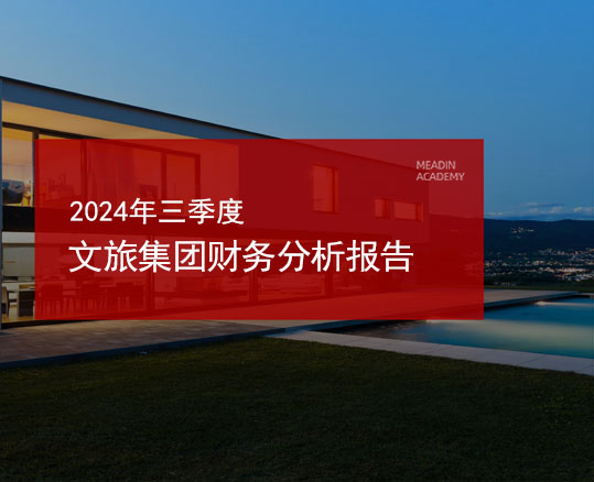 2024年三季度文旅集团财务分析报告