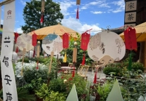 端阳佳节 祝福长留│台州府城“浙”份假期精彩回顾~~