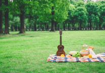 贵阳旅文拟设立贵阳桃源河朵芳阁酒店管理有限公司