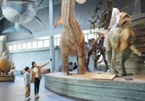 海南恐龙探索世界暨龙吟灵水旅游驿站项目开工 总投资超16亿元