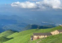 绿武100%，想看趁现在！