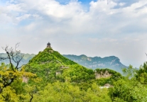 五一『花海拍照指南』来啦！太绝了！这样拍绝对赞爆朋友圈！