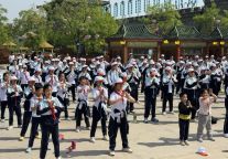 德州研学团穿越「大宋不夜城」！沉浸式解锁千年宋韵文化密码