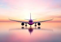 今年赴美国际旅客数量将下降8.7%