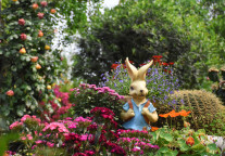 合肥欢趣王国FunnyLand主题乐园将于5月1日开园