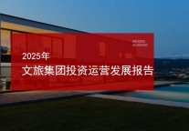 2025年文旅集团投资运营发展报告