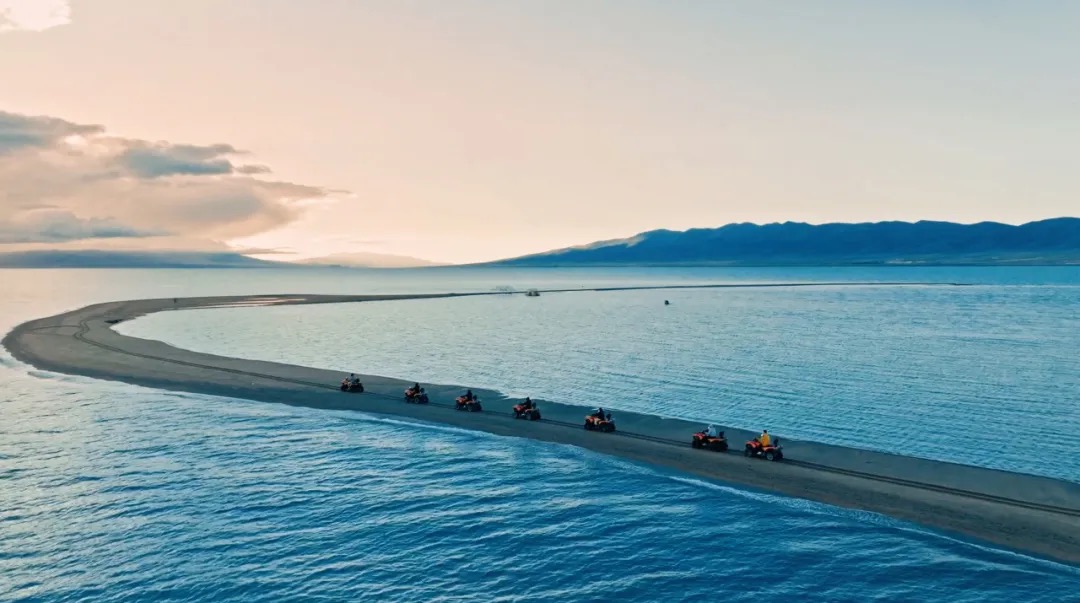 青海湖景区观鸟季｜春归碧波处，万鸟共翩跹