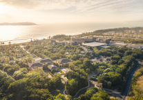 品味黎苗美食，品味舌尖上的海南