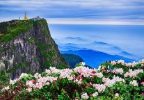 峨眉山景区-春茶为媒 “峨眉山A”八大产业闪耀明星足球赛