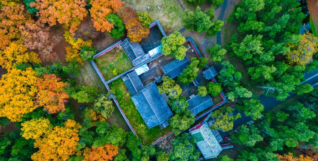 三孔景区 | 高山仰止，心乡往之，畅游三孔看这一篇就够了~