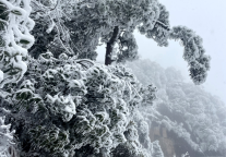 上饶三清山：赏雪正当时 安全有保障