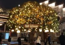 “尔滨”的老铁，到江南，总要来一趟台州府城吧~