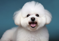 长白山万达锦华与奈娃家族联推主题房