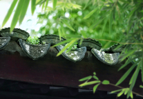 岭南股份预计2024年归母净亏损9亿-13.5亿