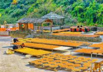 走进云丘山，用食物留住一整个秋天……