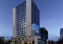 美豪丽致酒店音乐系列丨竹林间 音愈场