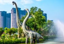 格美酒店（常州北站恐龙园店）：多维体验，开启常州惬意之旅