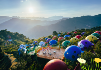 游漳州，“蛇”么都好丨六大主题夏令营火热来袭！