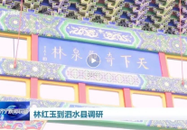 济宁市委书记林红玉到泗水泉林景区调研