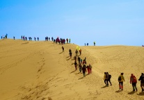 2024年四季度出境游总团数同比上涨40%