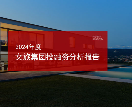 2024年度文旅集团投融资分析报告