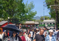 GO！GO！GO！五一山海关景区穿古越今之旅开启！