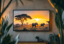 全国18.3万家酒店逾千万间客房实现便捷看电视开机看直播