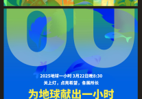 三亚海棠湾万达瑞华度假酒店“地球一小时”熄灯行动