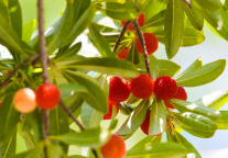 总投资10亿元，浙江仙居亚乐城欢乐世界开园