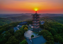 奔赴山野，感受紫蓬新活力~