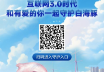 周年庆营销新模式，九元航空携手易宝支付首发公益数字藏品