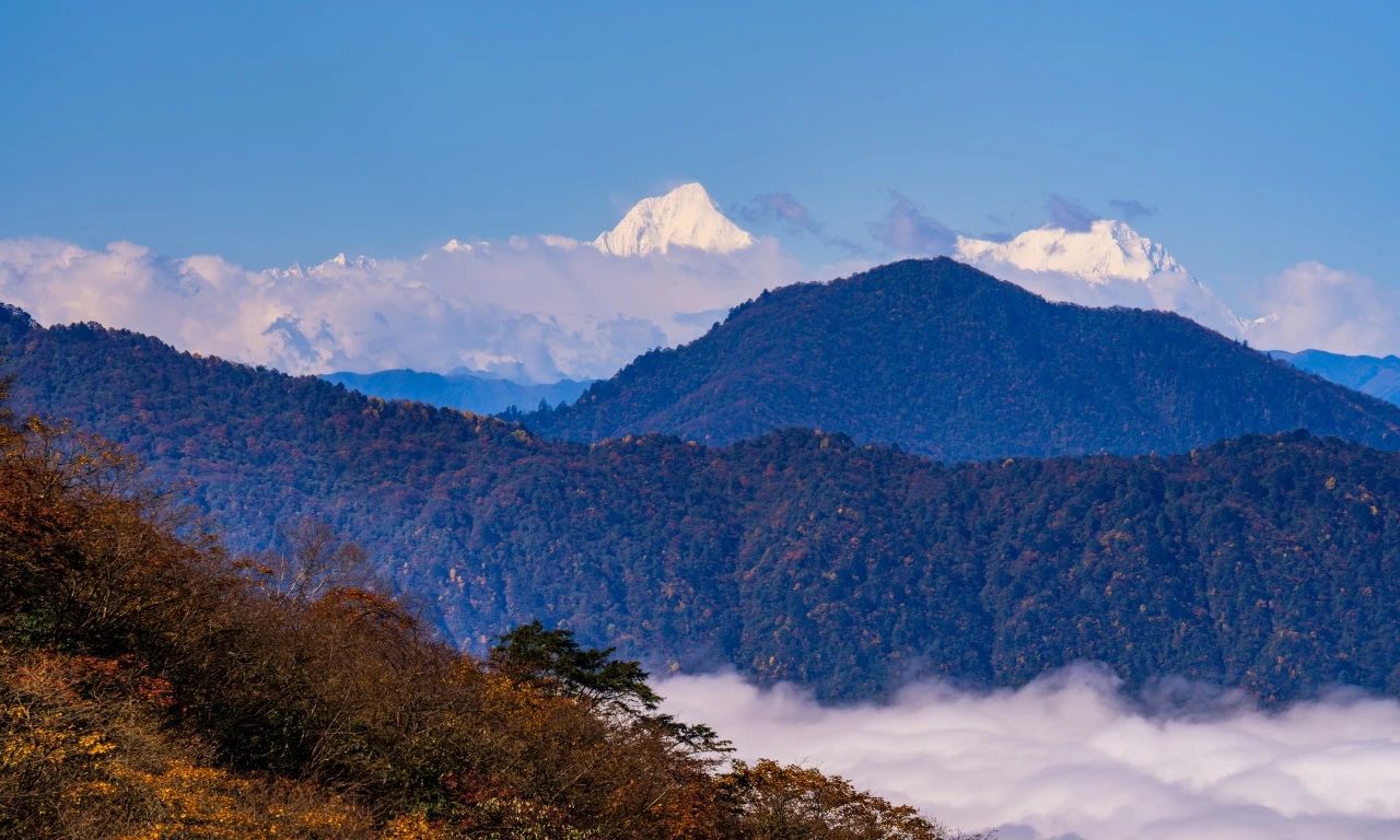 峨旅股份公司召开网络安全领导小组2024年第一次会议暨网络安全工作专题会议