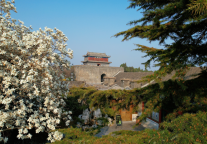 趁着春色浪漫 向着山海关景区出发！