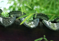 暑期入境游再度升温 成都、西安成热门打卡地