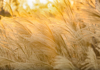 迪士尼2024年第四财季营收225.7亿美元，同比增长6.3%