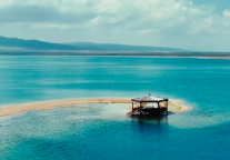 工作动态 | 局地同行动    净美青海湖——共和管理分局开展旅游旺季“净湖行动”