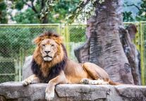贝壳酒店（上海野生动物园店）：栖居浦东，解锁沪上野趣与繁华