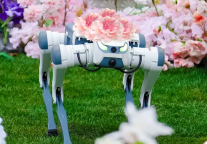 “低空赏花”成美团旅行2025十大春日踏青新玩法 飞行体验玩乐商家数增长超1倍