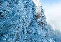 看过雪后初晴的明月山，才知道为什么喜欢冬天！