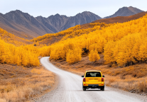 澳门元旦假期出入境人次超192.8万