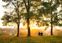 山东文旅2024年旅游收入突破万亿