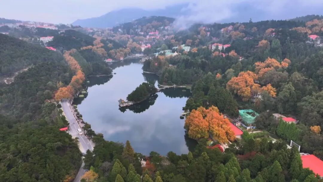 庐山风景区开启2025年金秋赏枫季